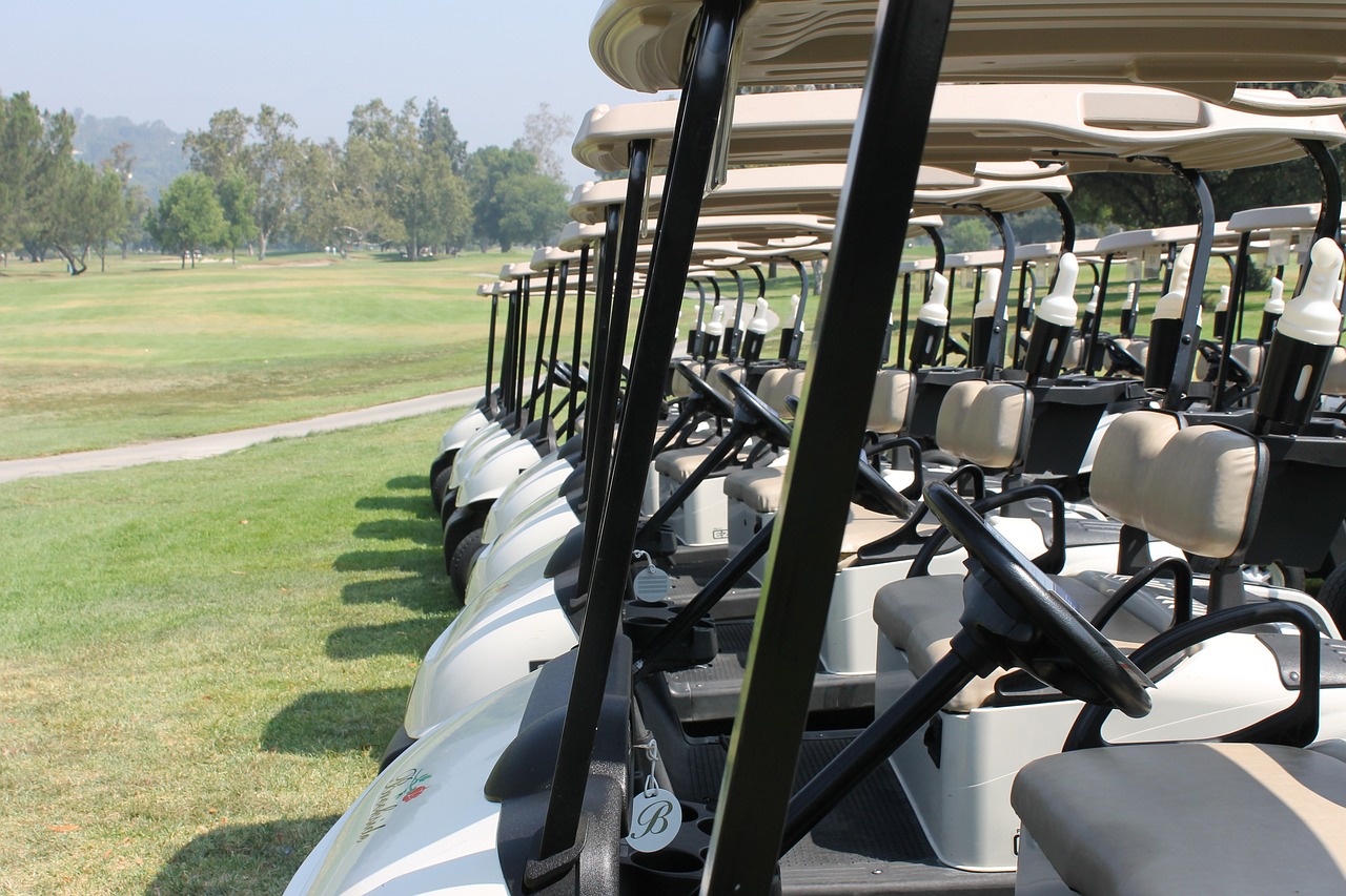 golf, cart, golfer-2479132.jpg